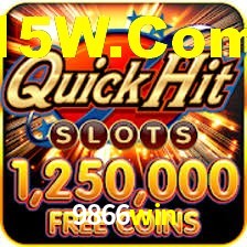 Premium Interface 9866win